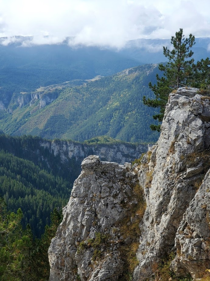 View Wolf Rock, Bulgaria by Ashleigh Campbell
