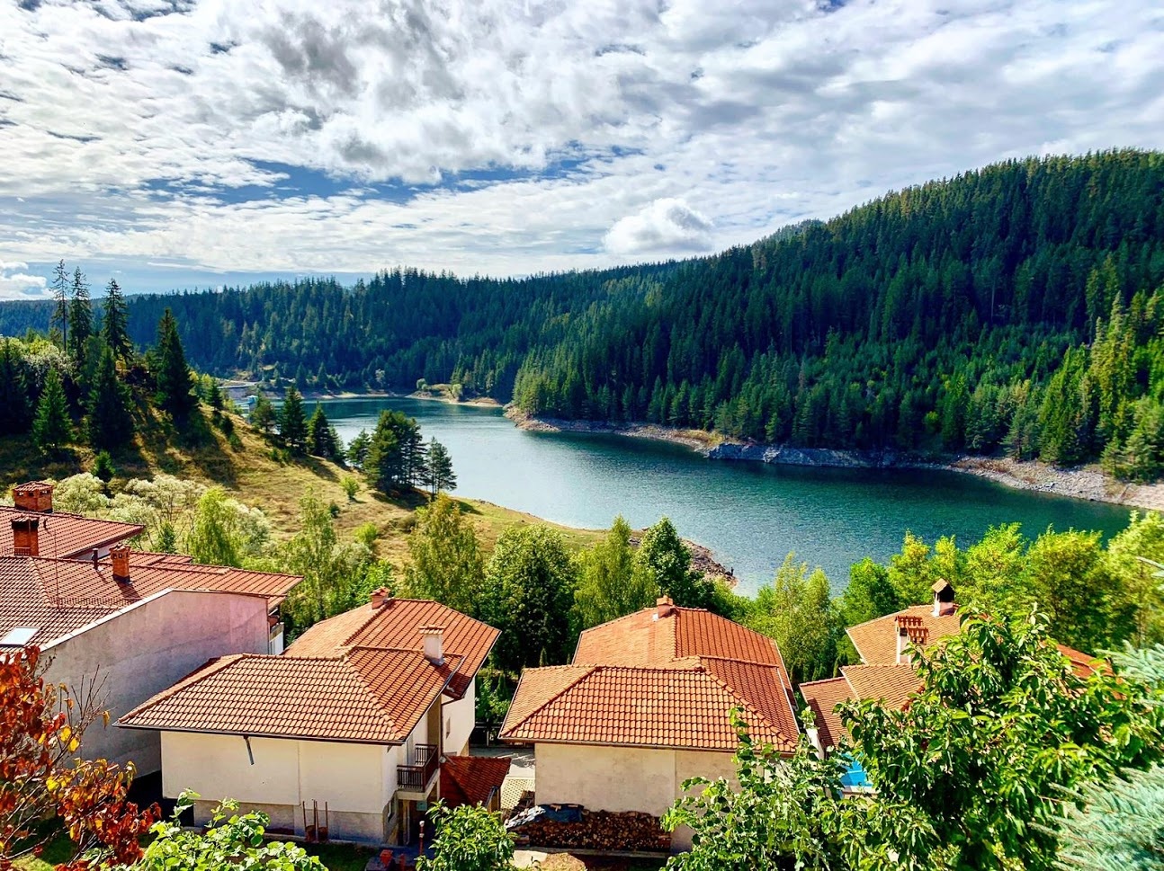 View Bulgaria by Ashleigh Campbell
