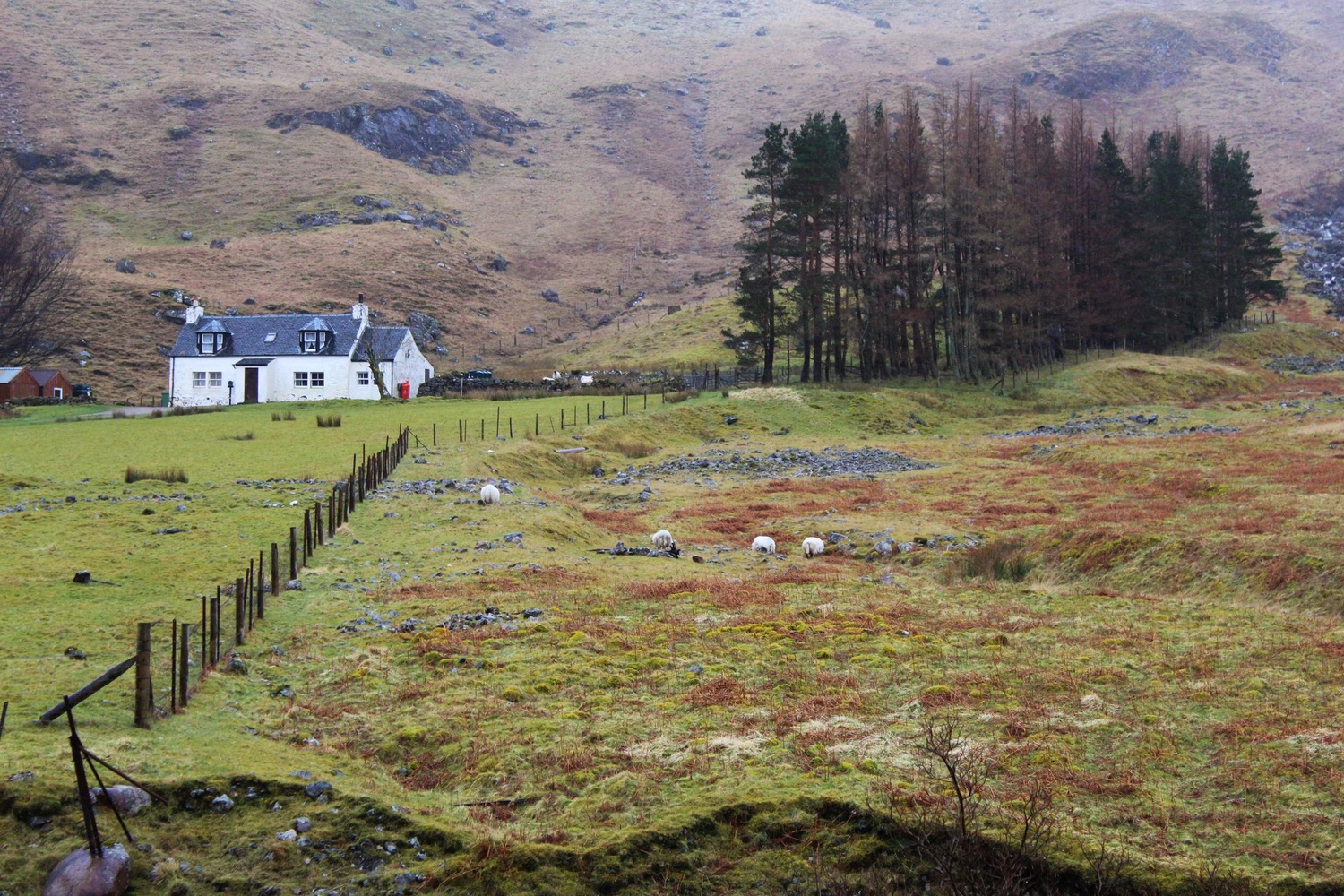 View Glencoe, Scotland by Ashleigh Campbell