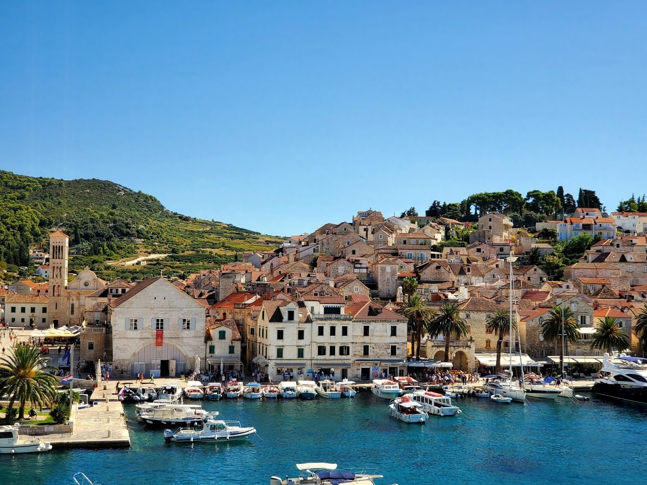 View Hvar Port, Croatia by Ashleigh Campbell