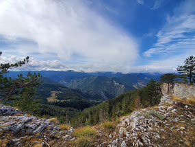 View Wolf Rock, Bulgaria by Ashleigh Campbell