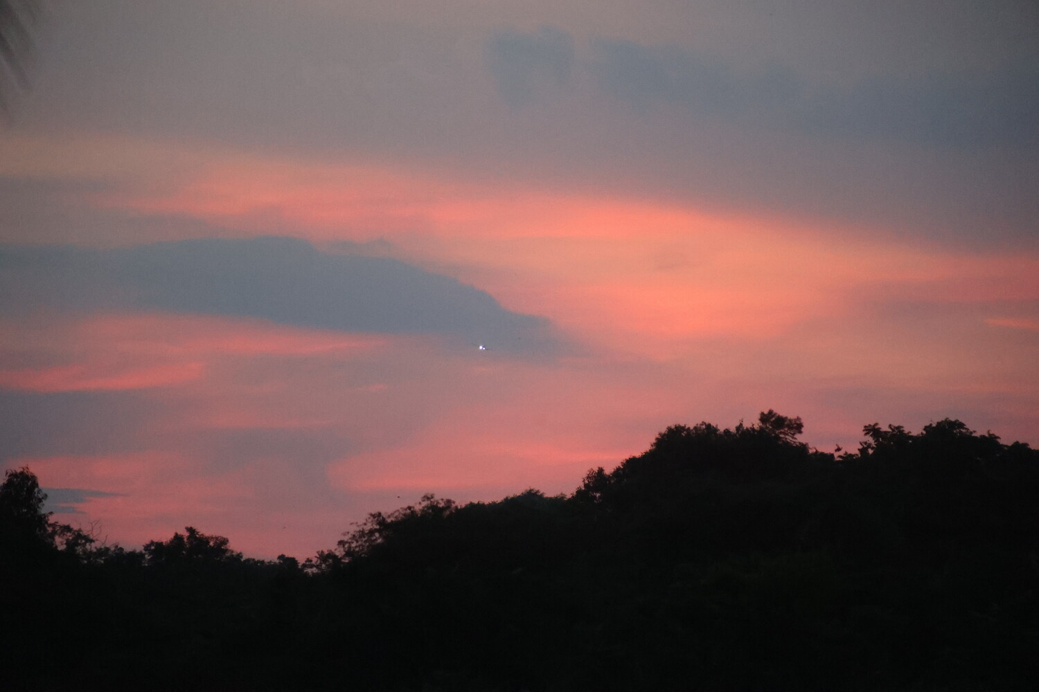 Dramatic sunset sky with coral and pink clouds above a dark treeline silhouette