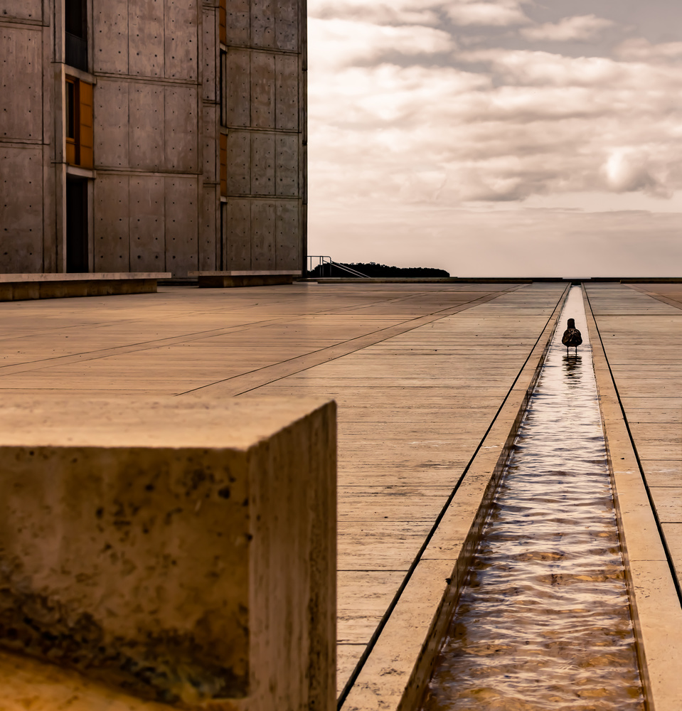 View Untitled 1 by Fulvio Caputo