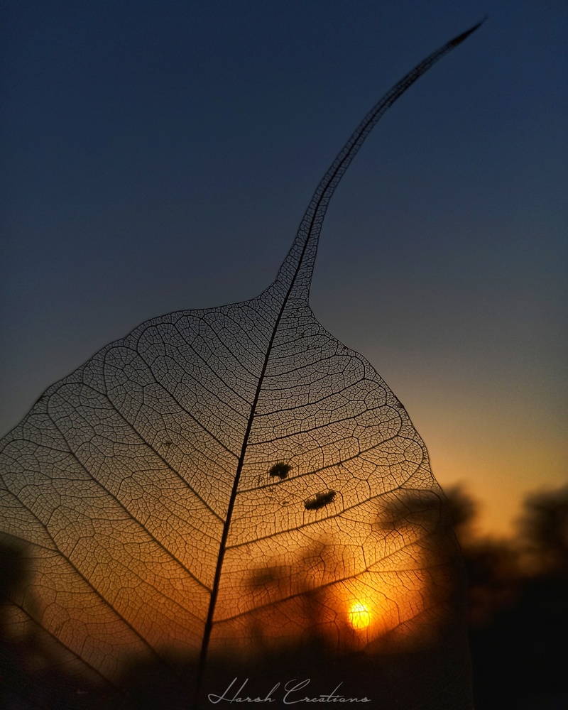View Sunset from different perspective by Harsh Kumar