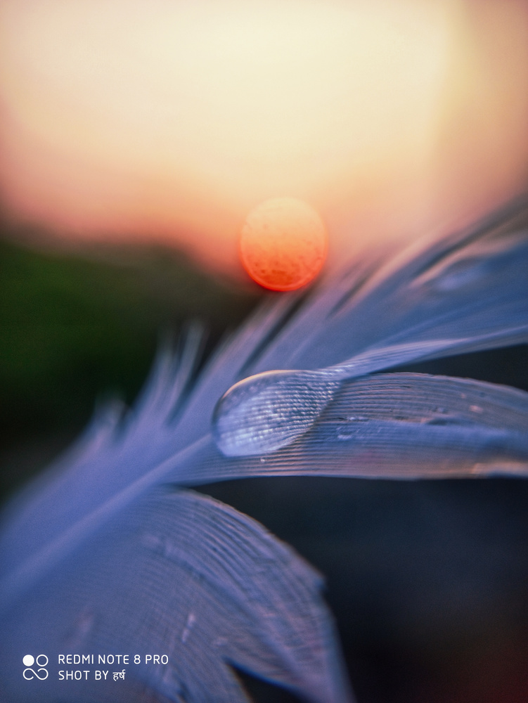 View Sunset drop by Harsh Kumar