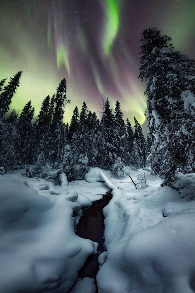 View Magic Lapland by Unai Larraya