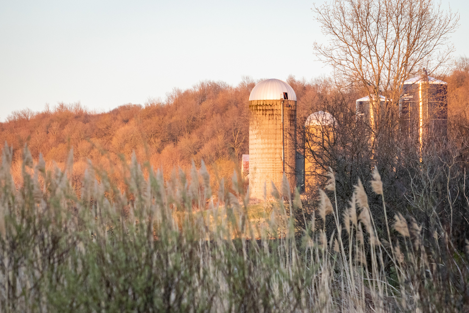 View Farm Silos at Sunset by Joshua Napper