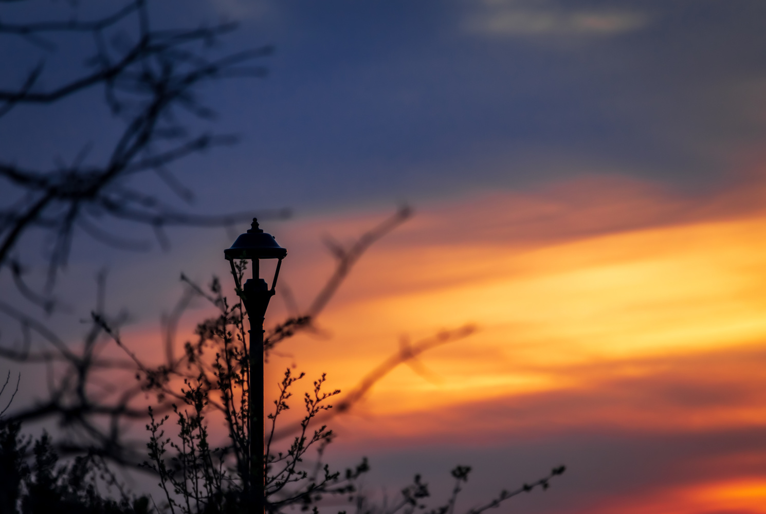 View Is this Narnia? by Joshua Napper