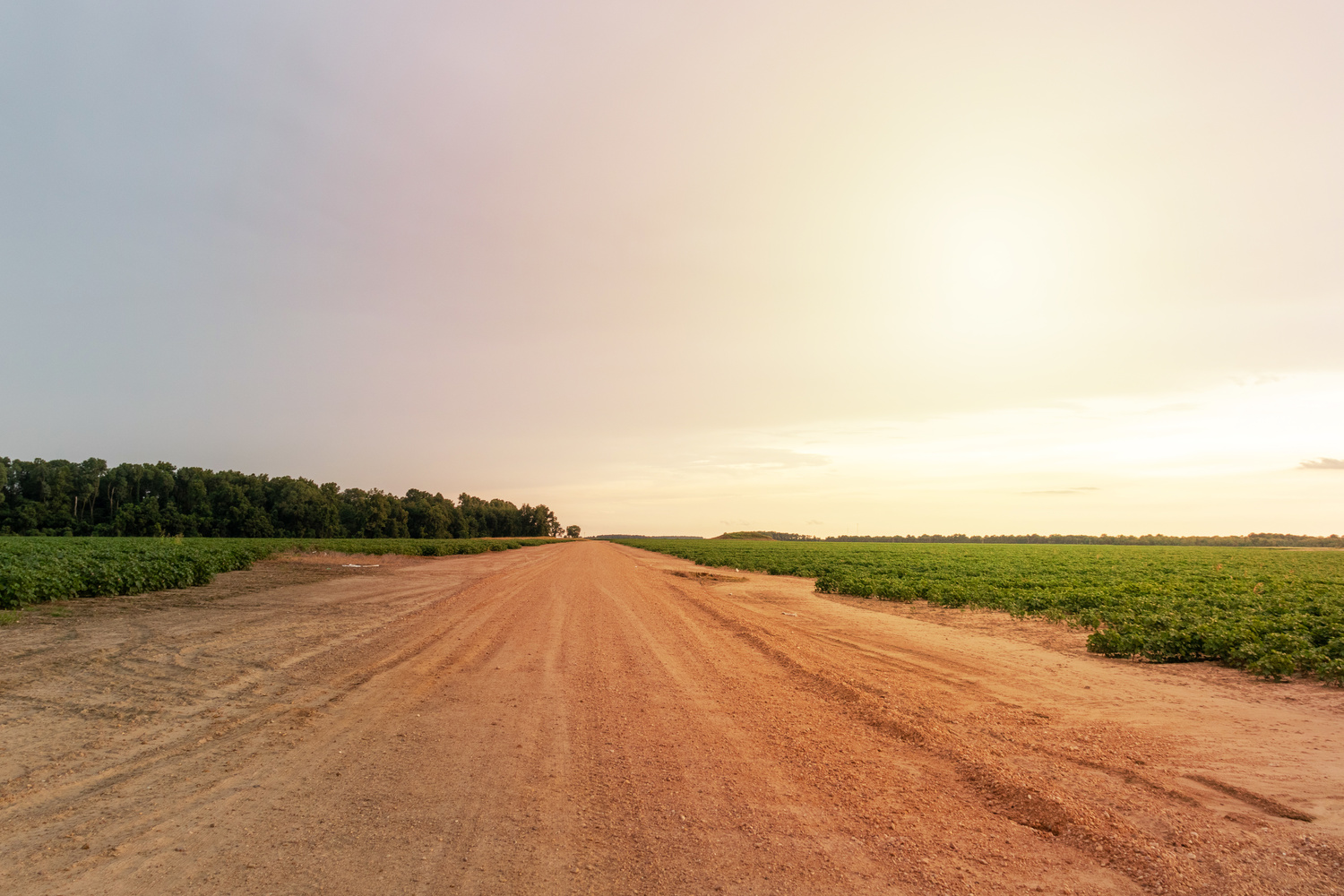 View Country Roads at Sunset by Joshua Napper