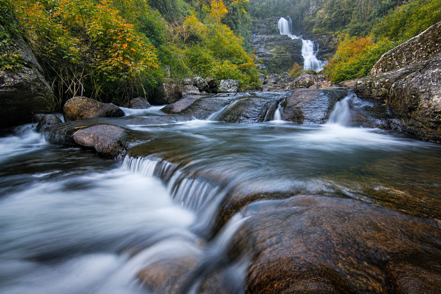 Mountain stream with cascading waterfalls over moss-covered rocks surrounded by autumn foliage