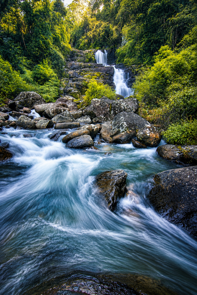 Flowing river with motion blur cascading over smooth rocks surrounded by dense green forest