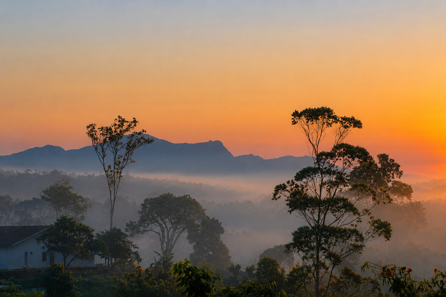 Misty valley landscape at sunrise with silhouetted trees and mountains