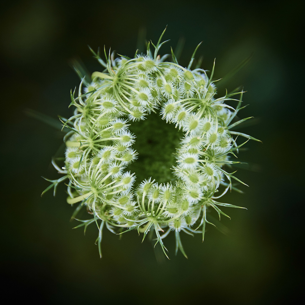 View Untitled 1 by Sven Stork