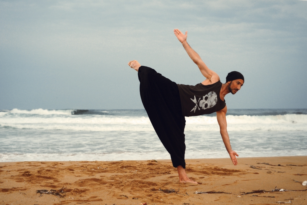 View zen and the art of capoeira with typhoon by roman zlobin