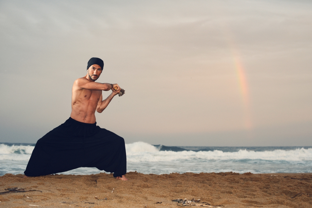 View zen and the art of capoeira with typhoon by roman zlobin