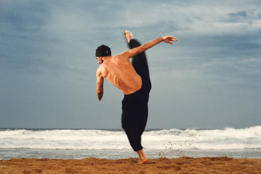 View zen and the art of capoeira with typhoon by roman zlobin