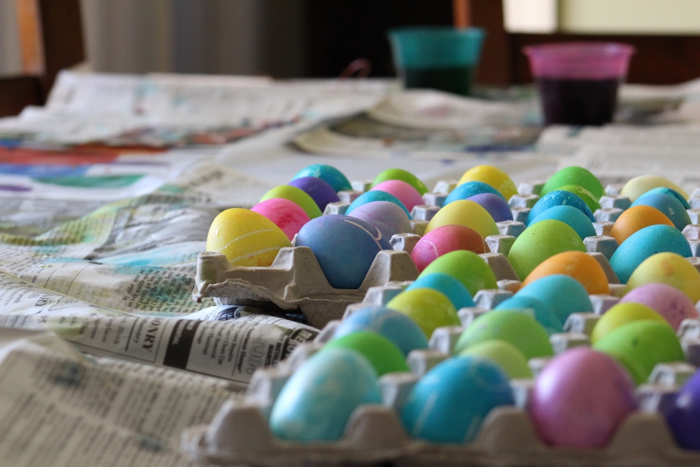 View Advancing eggs by David Medranda