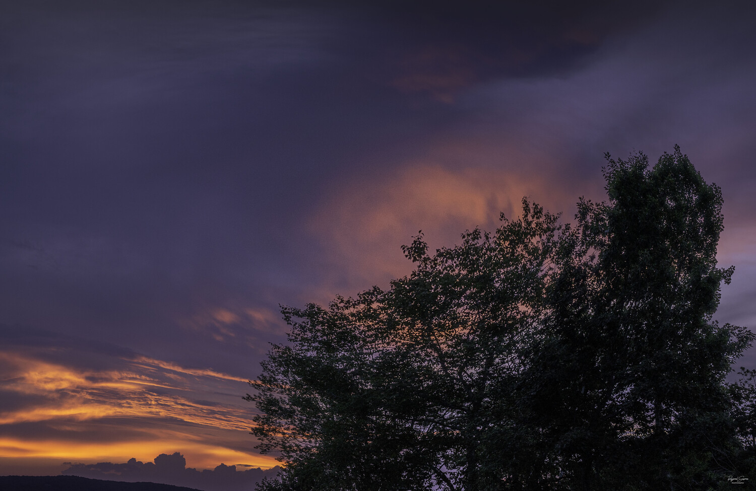 Silhouetted trees against a dramatic twilight sky with golden and purple clouds
