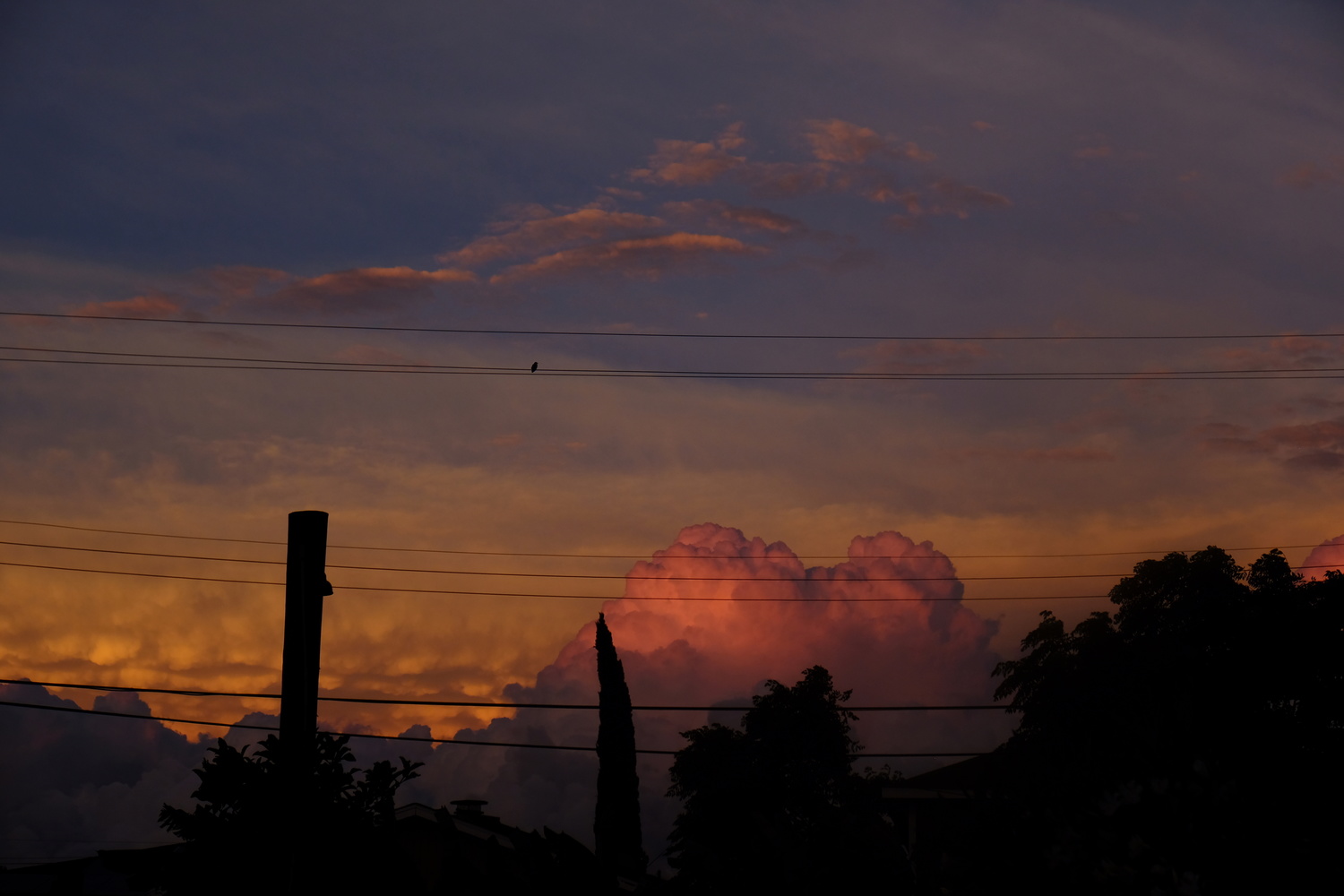 View Sunset Reverie by Maryam Hiradfar