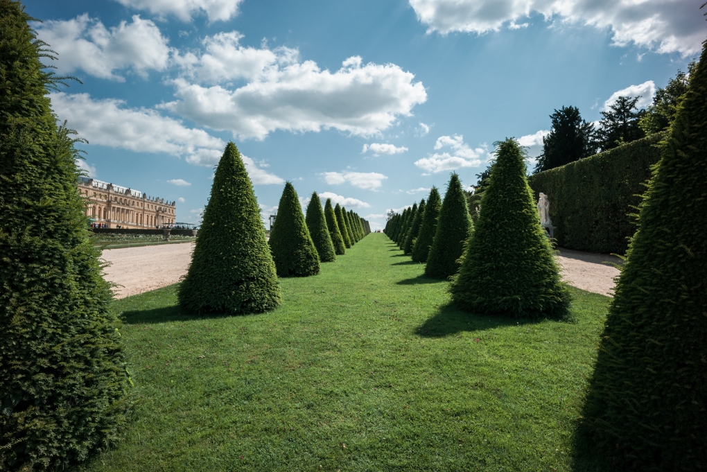 View The Queen's Garden by Darwin Nercesian