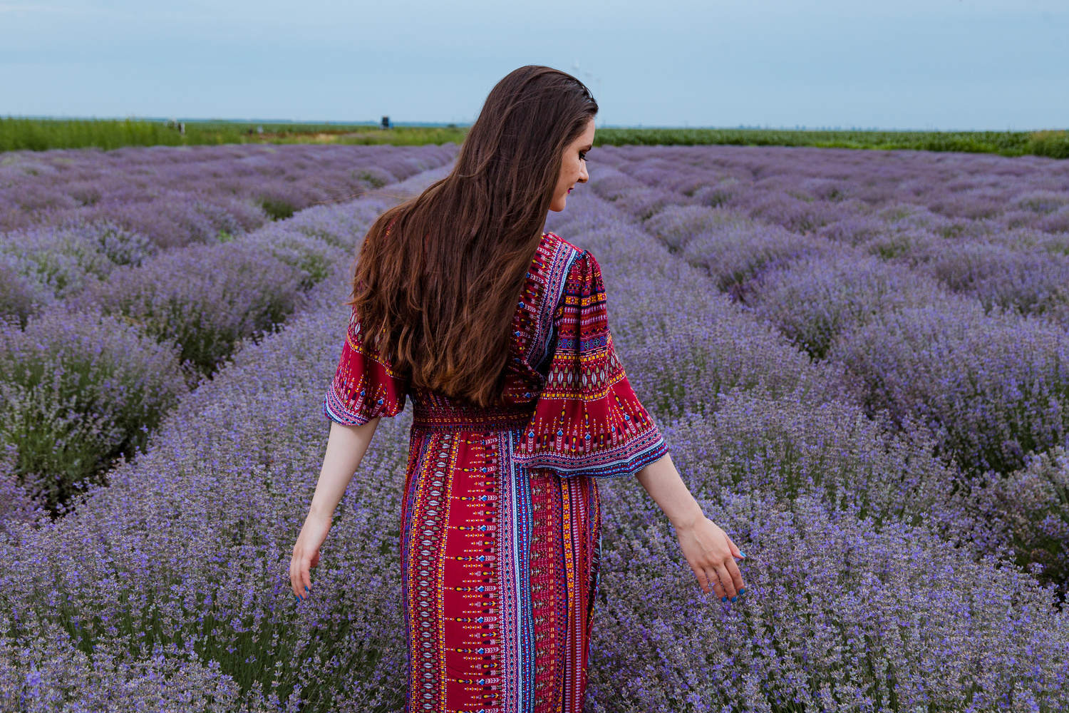 View Lavender by Fleur Ane