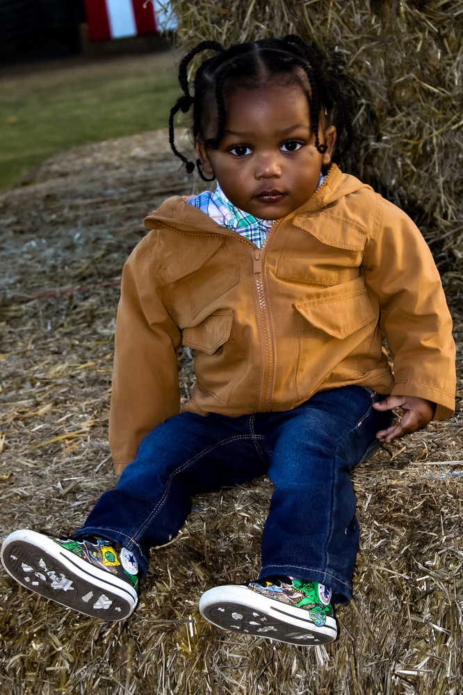 View Donnie Jr. by BreeAnna Johnson