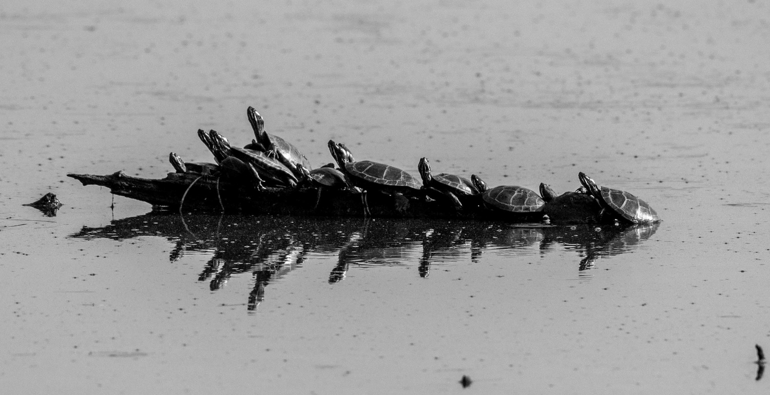View Untitled 3 by Nitin Shukla