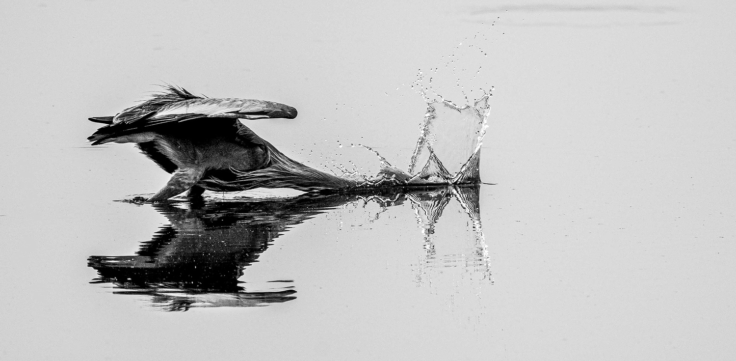 View Untitled 1 by Nitin Shukla