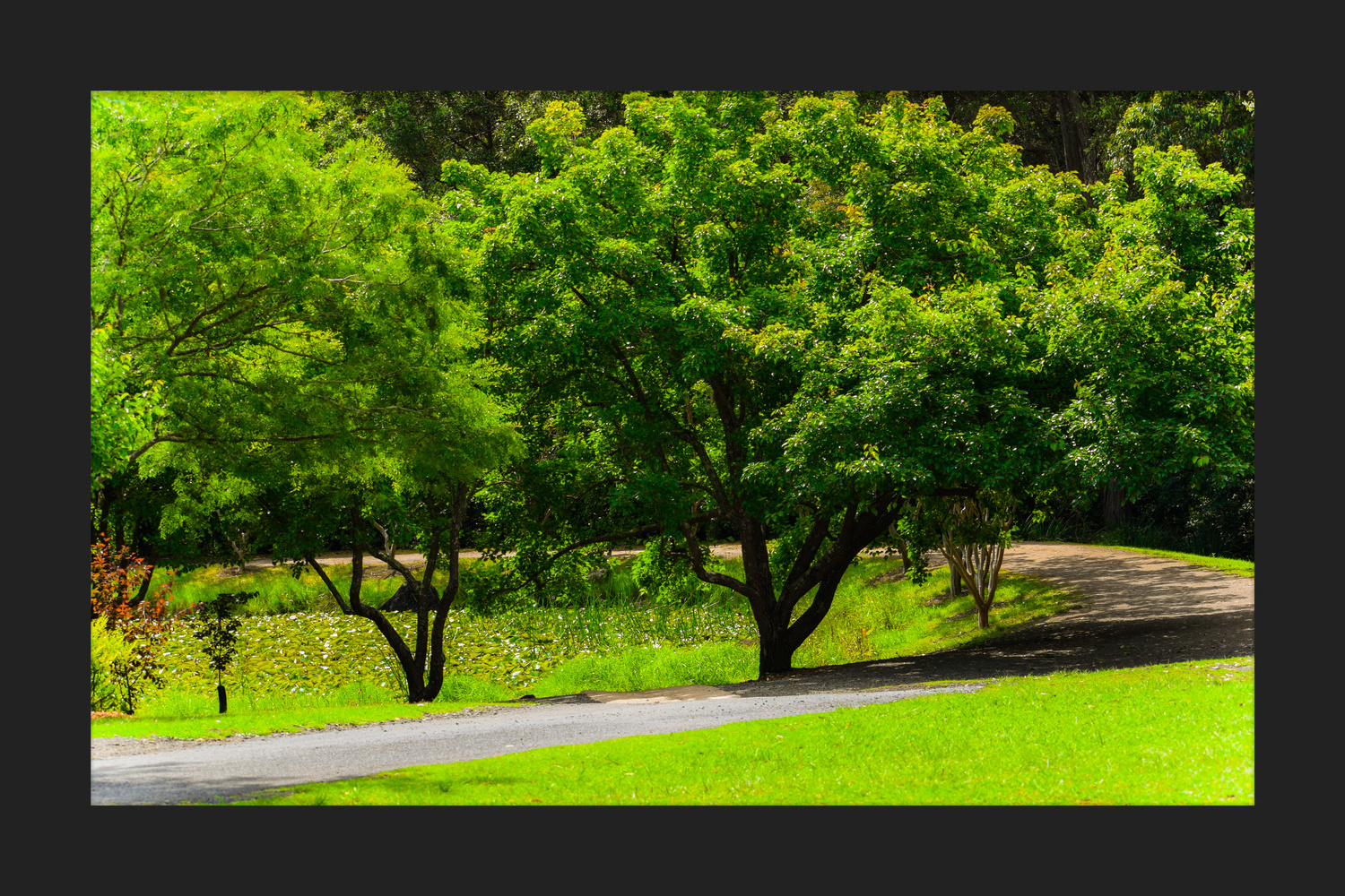 View Untitled 25 by Khursheed Amur