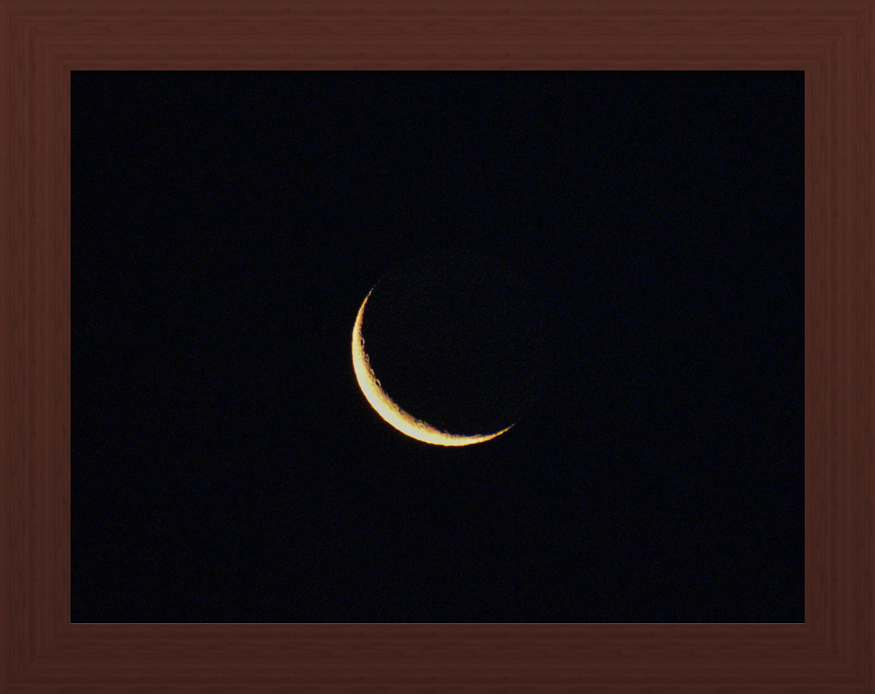 View Untitled 16 by Khursheed Amur