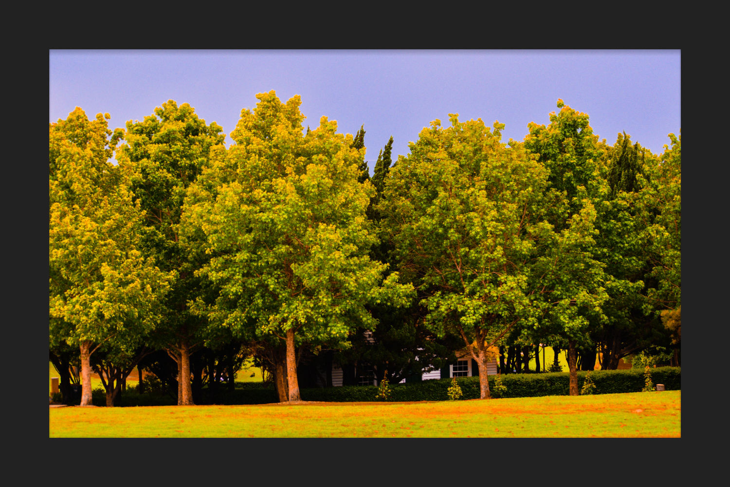 View Untitled 23 by Khursheed Amur
