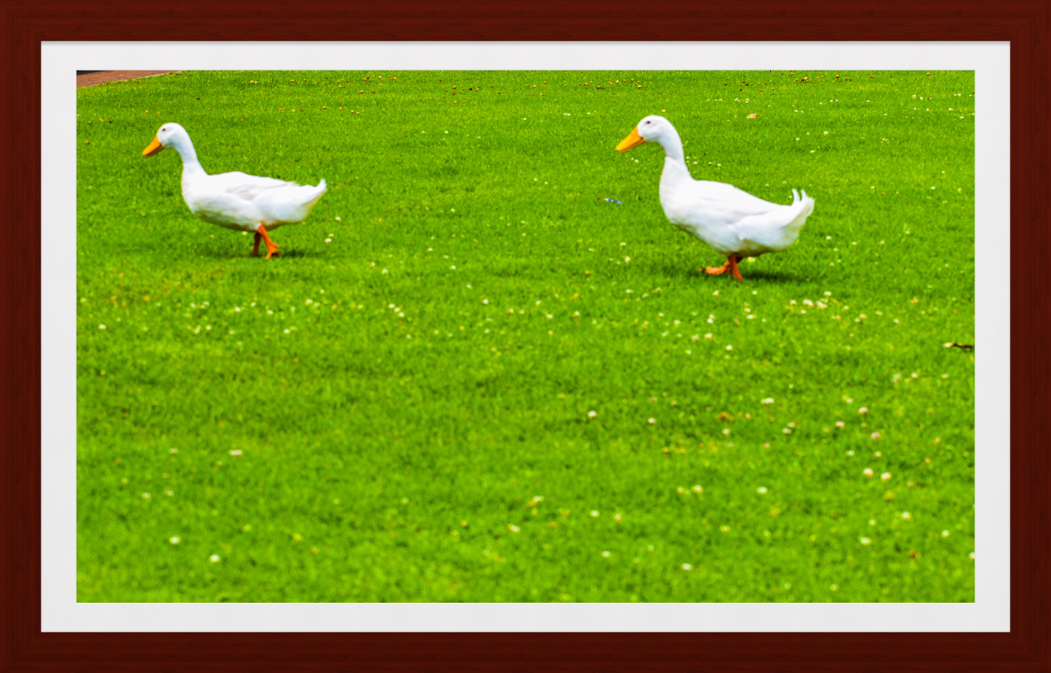 View Untitled 8 by Khursheed Amur
