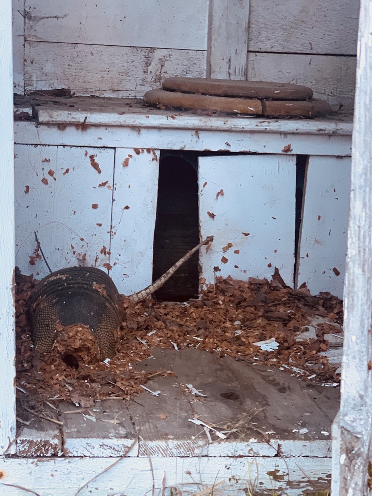 View Outhouse2 by Tiffany Gradin