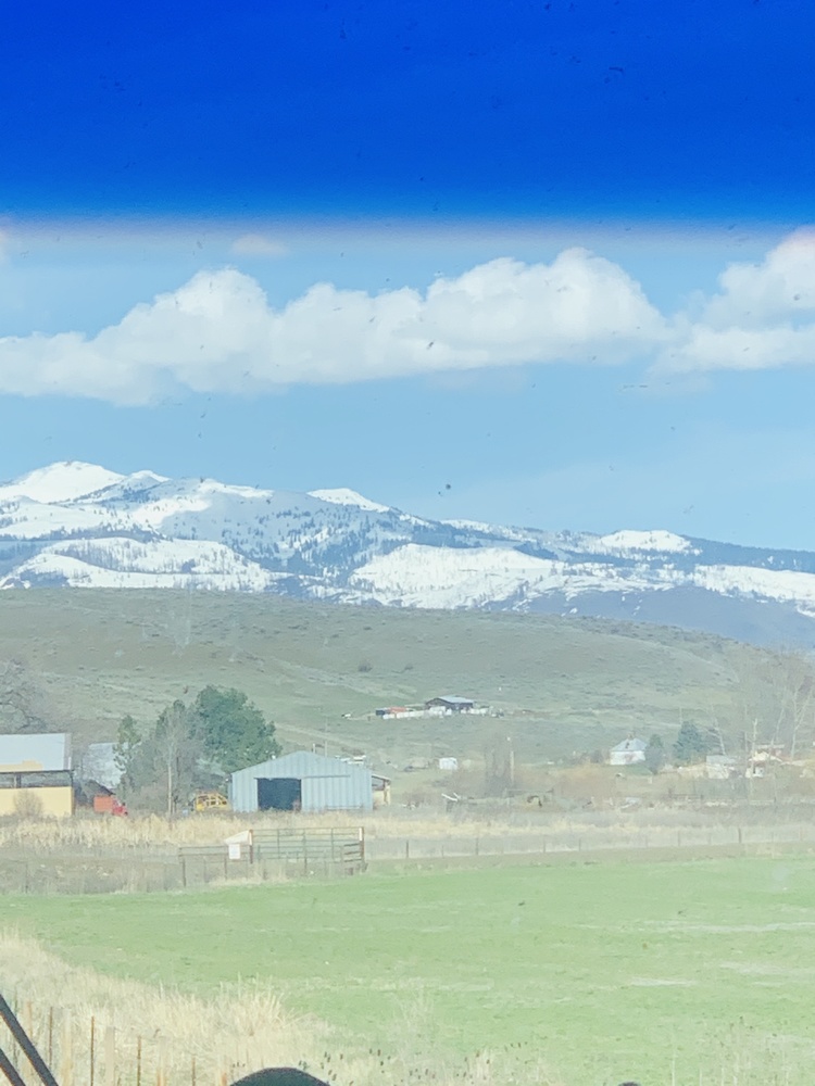 View Idaho by Tiffany Gradin