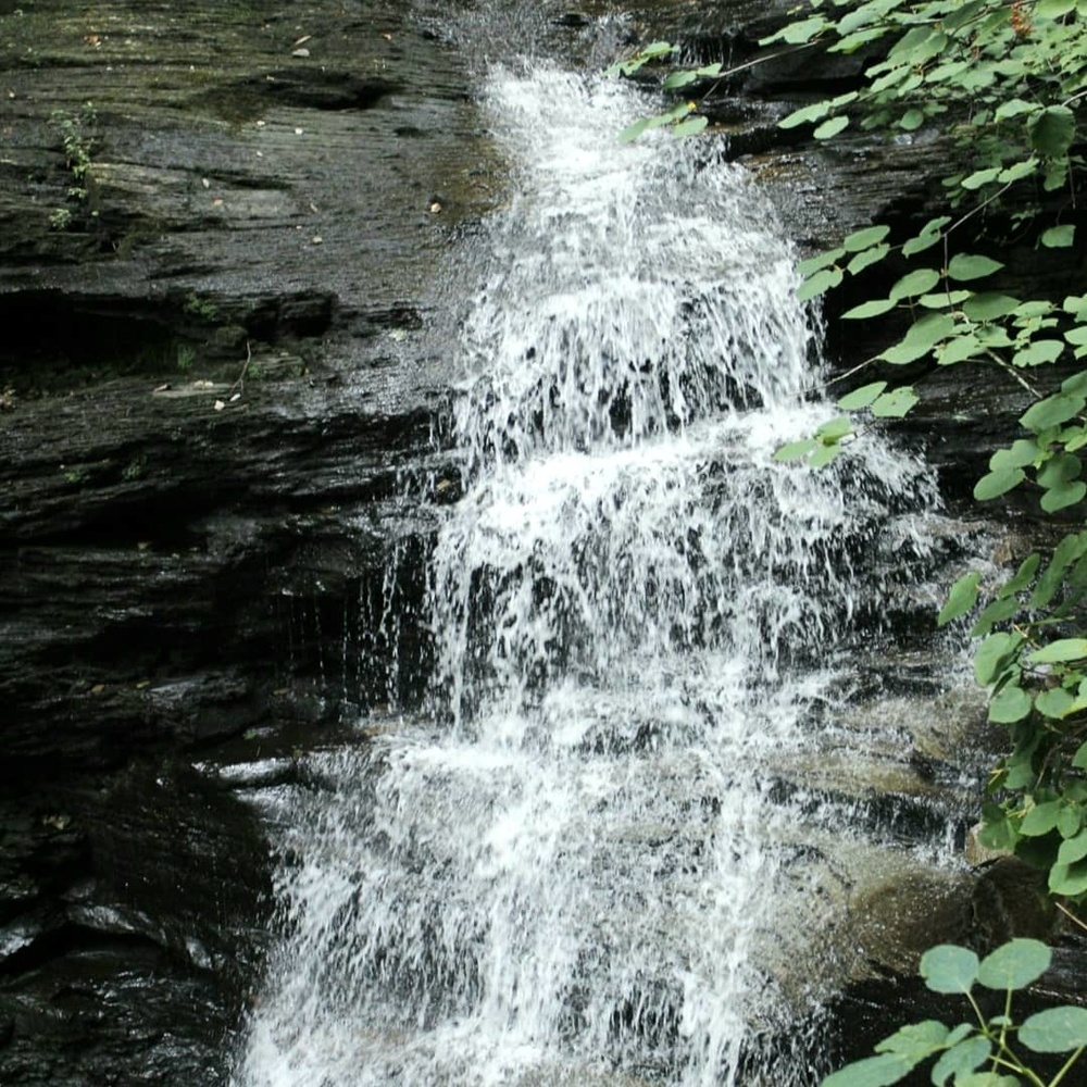 View Untitled 6 by PATRICIA COTTRELL