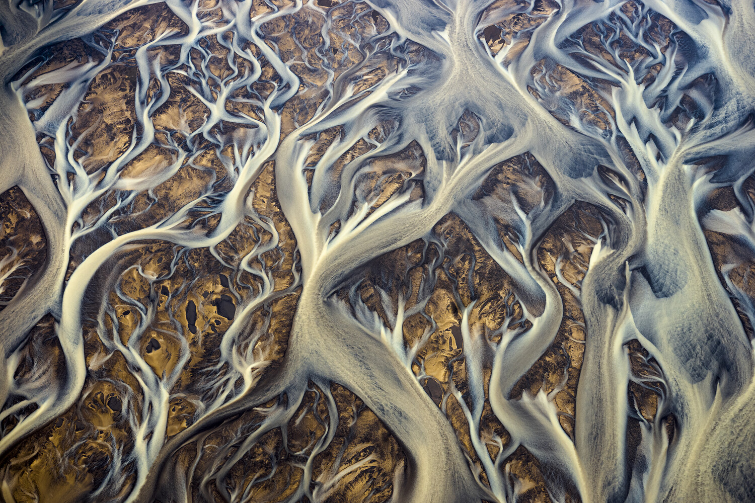 View Untitled 3 by carlo marrazza