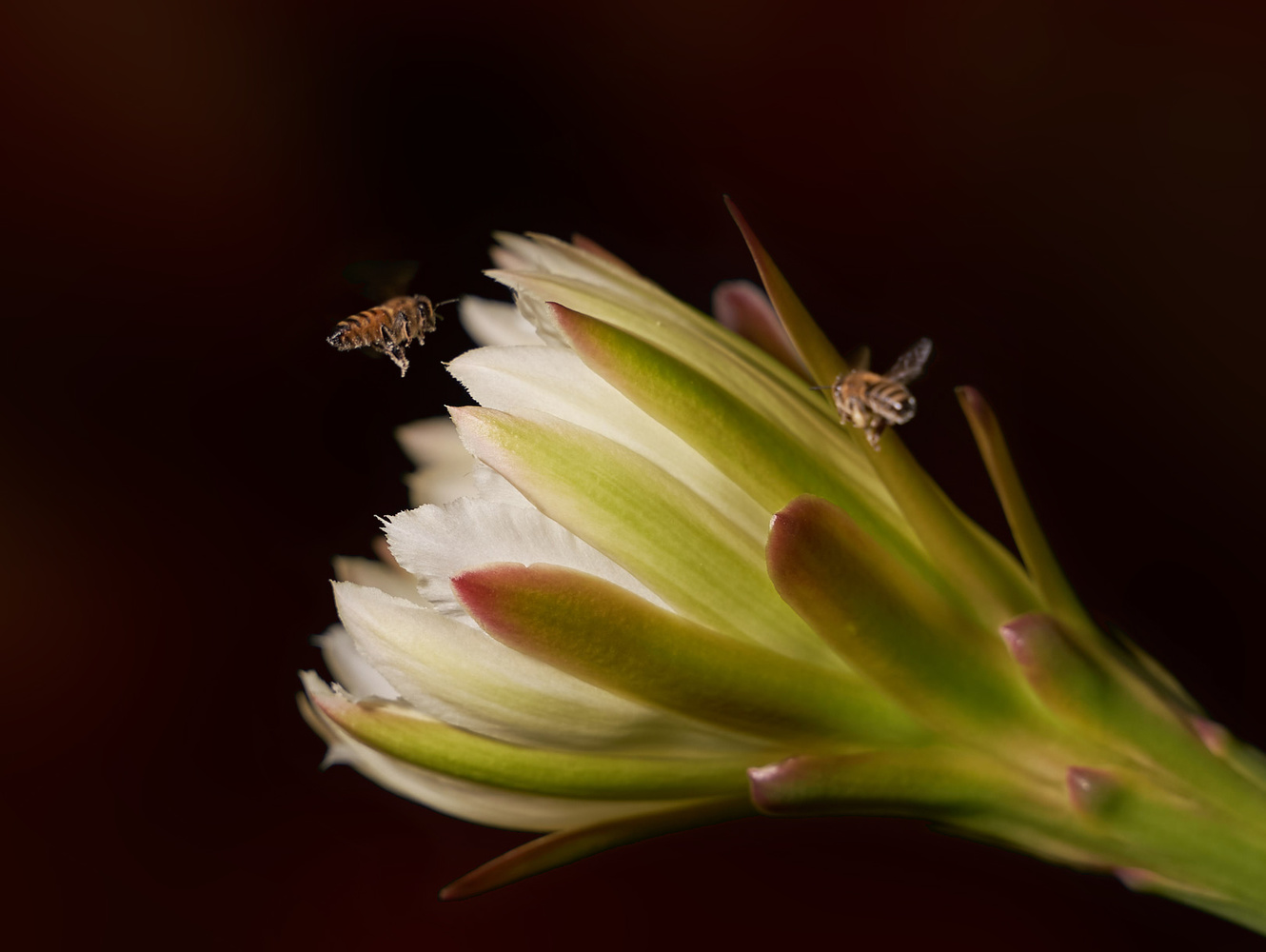 View Untitled 9 by Brad Norling