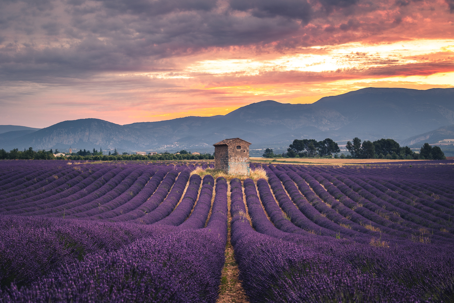 View Provence sunrise by Paweł Uchorczak
