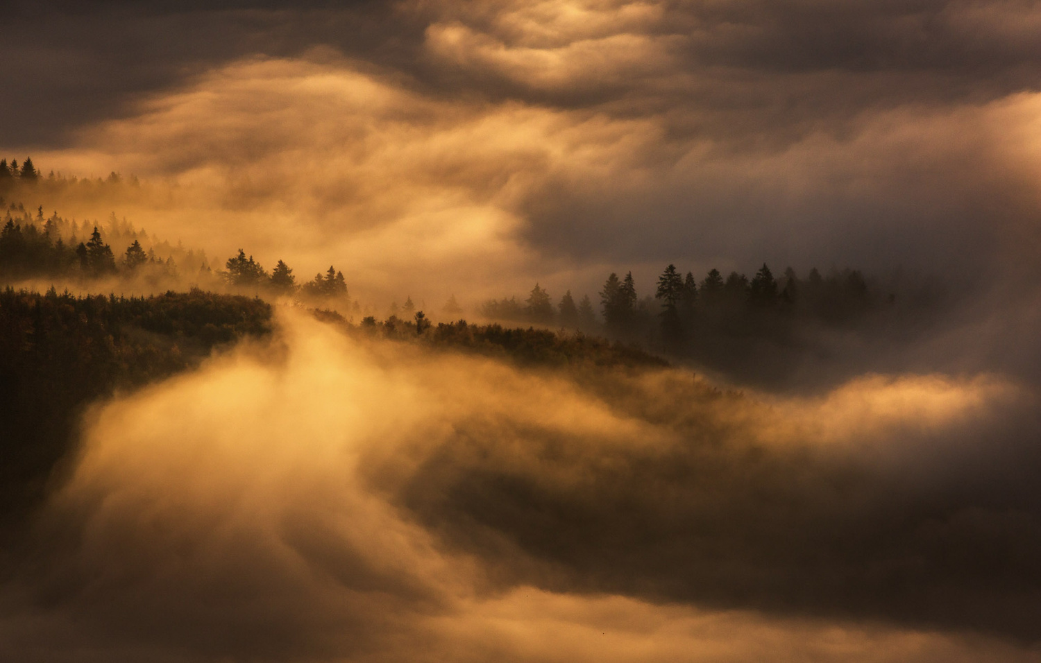 View Morning mist by Paweł Uchorczak