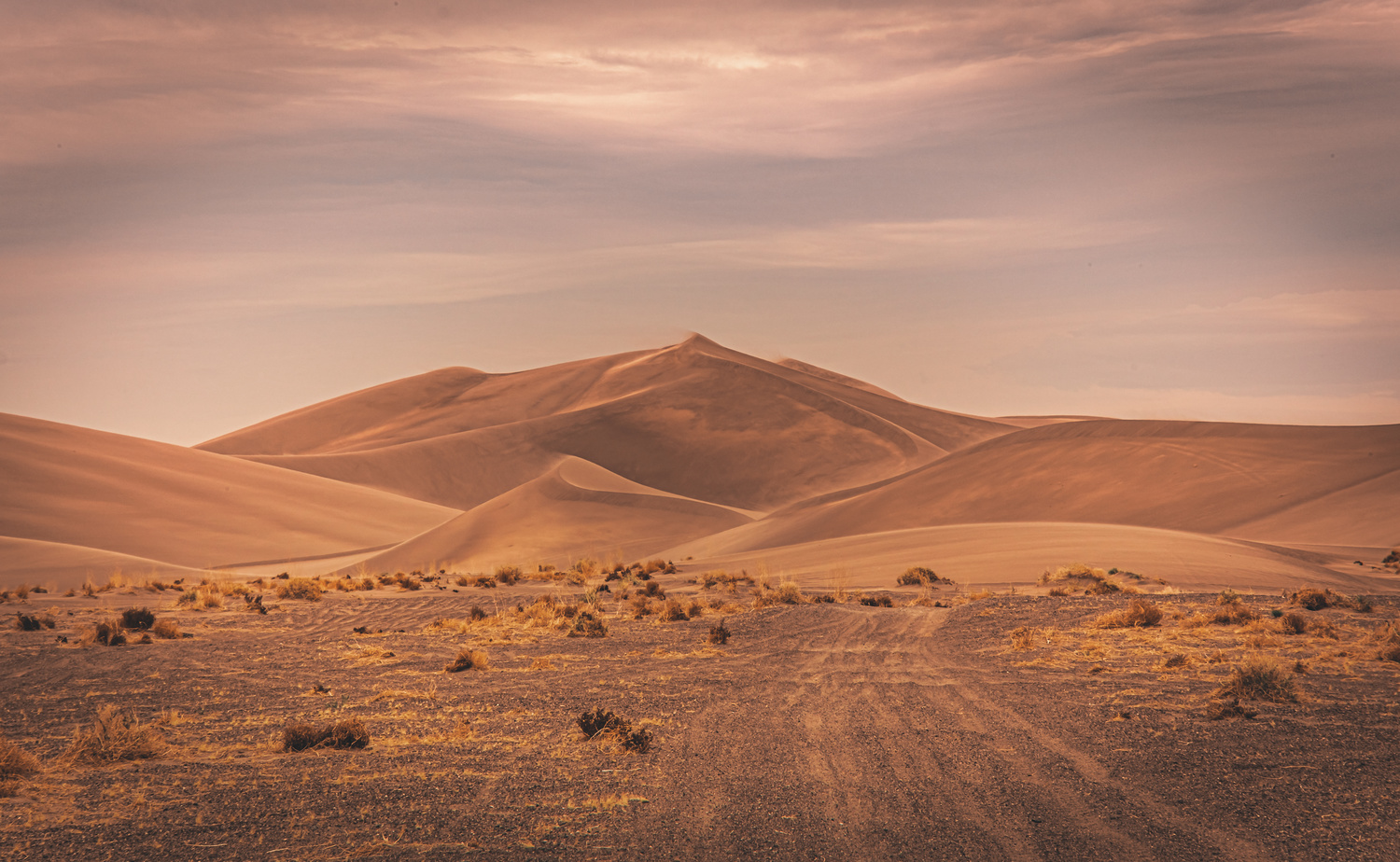 View Dune by Wade Stephens