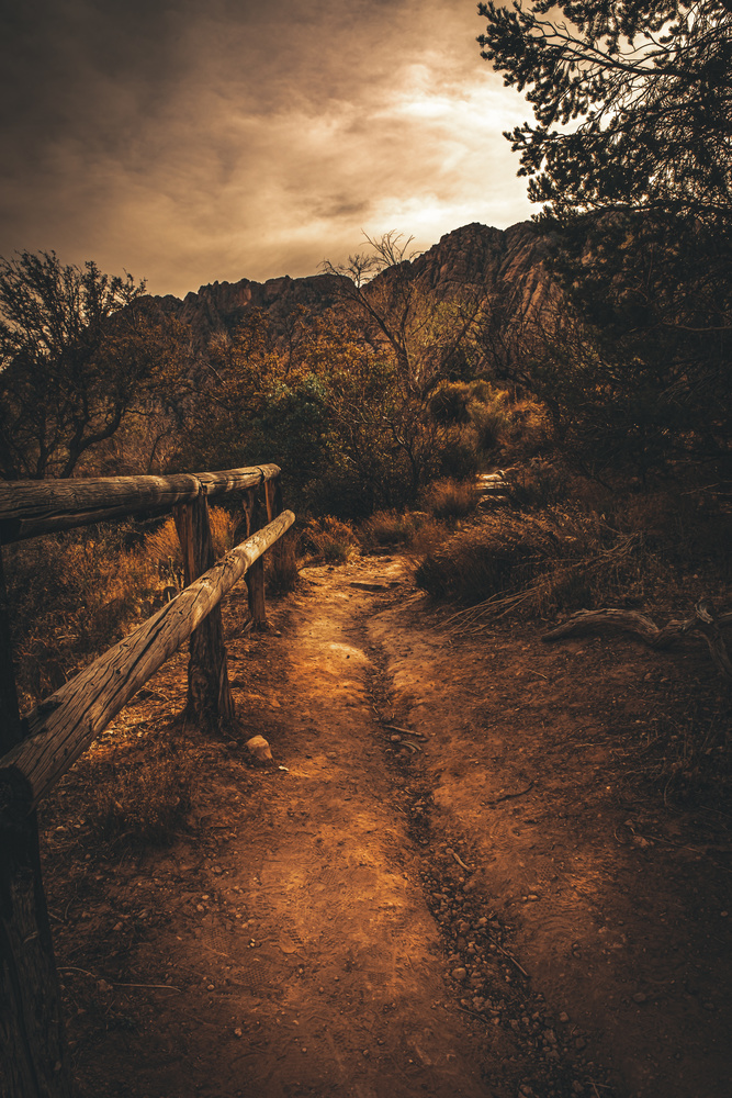 View The trail. by Wade Stephens