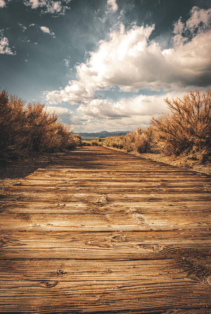 View Good Ol Days by Wade Stephens