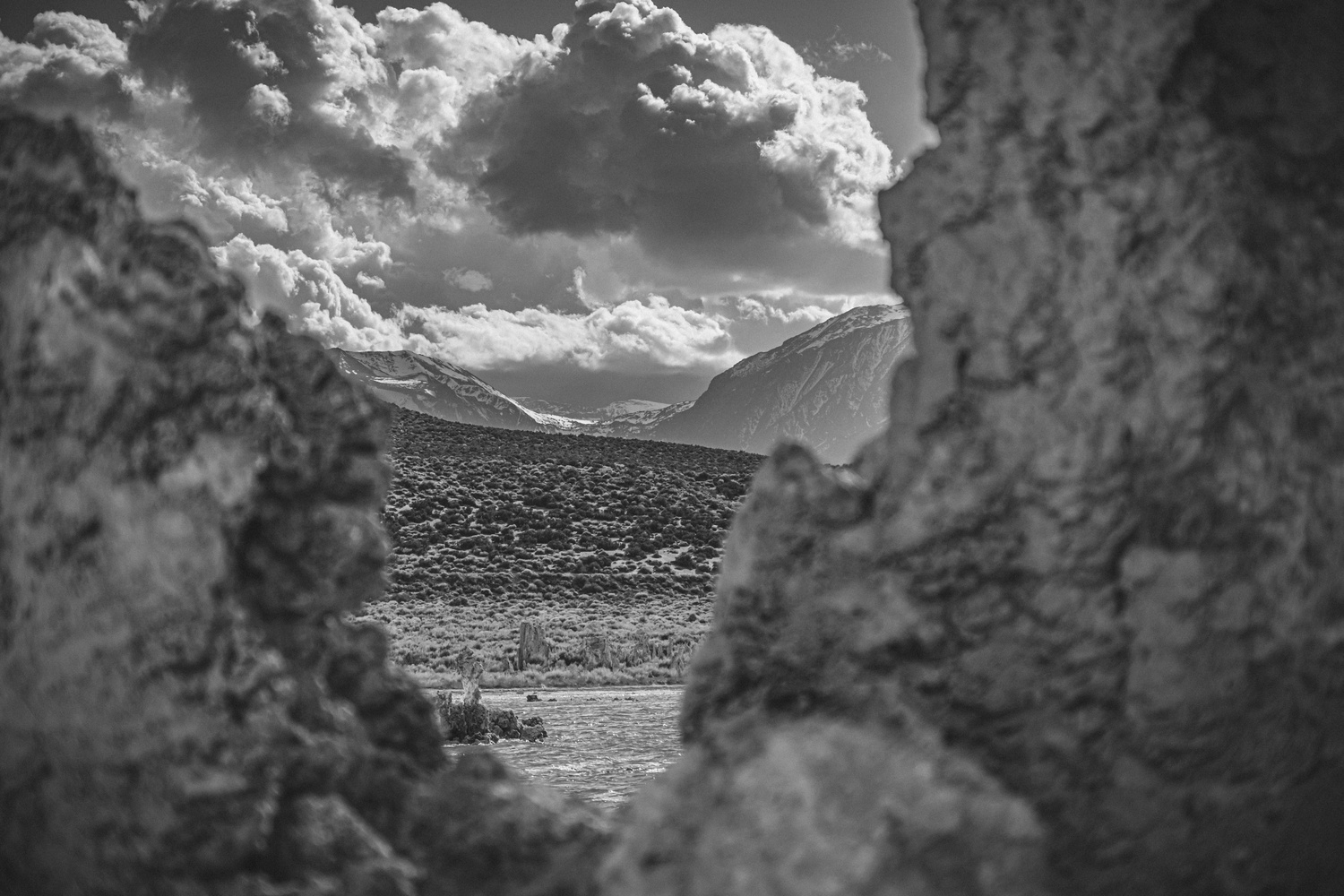View Ansel's Dream by Wade Stephens