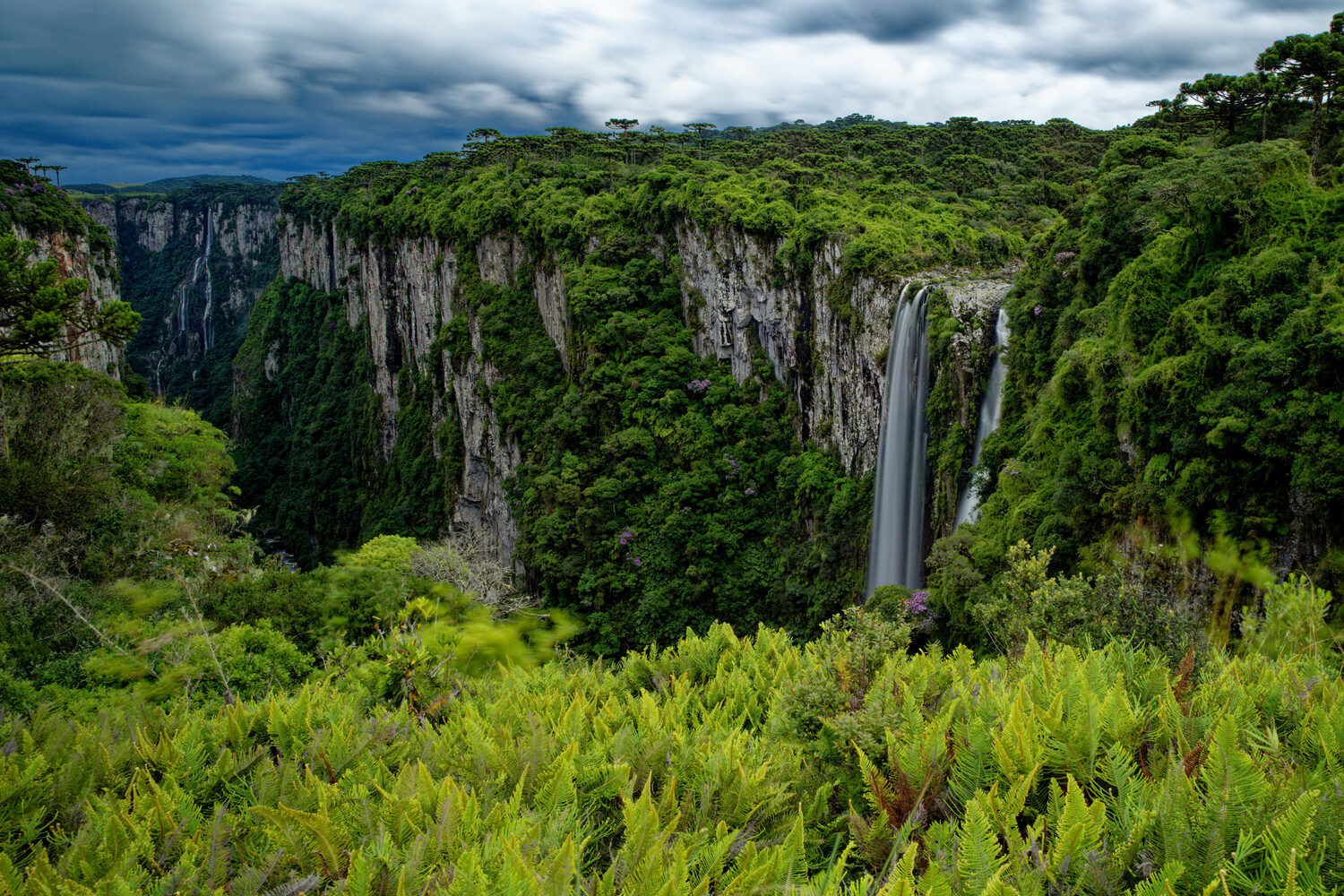 Tall waterfall plunging over a sheer basalt cliff into a lush green canyon, with ferns in the foreground under a dramatic overcast sky.