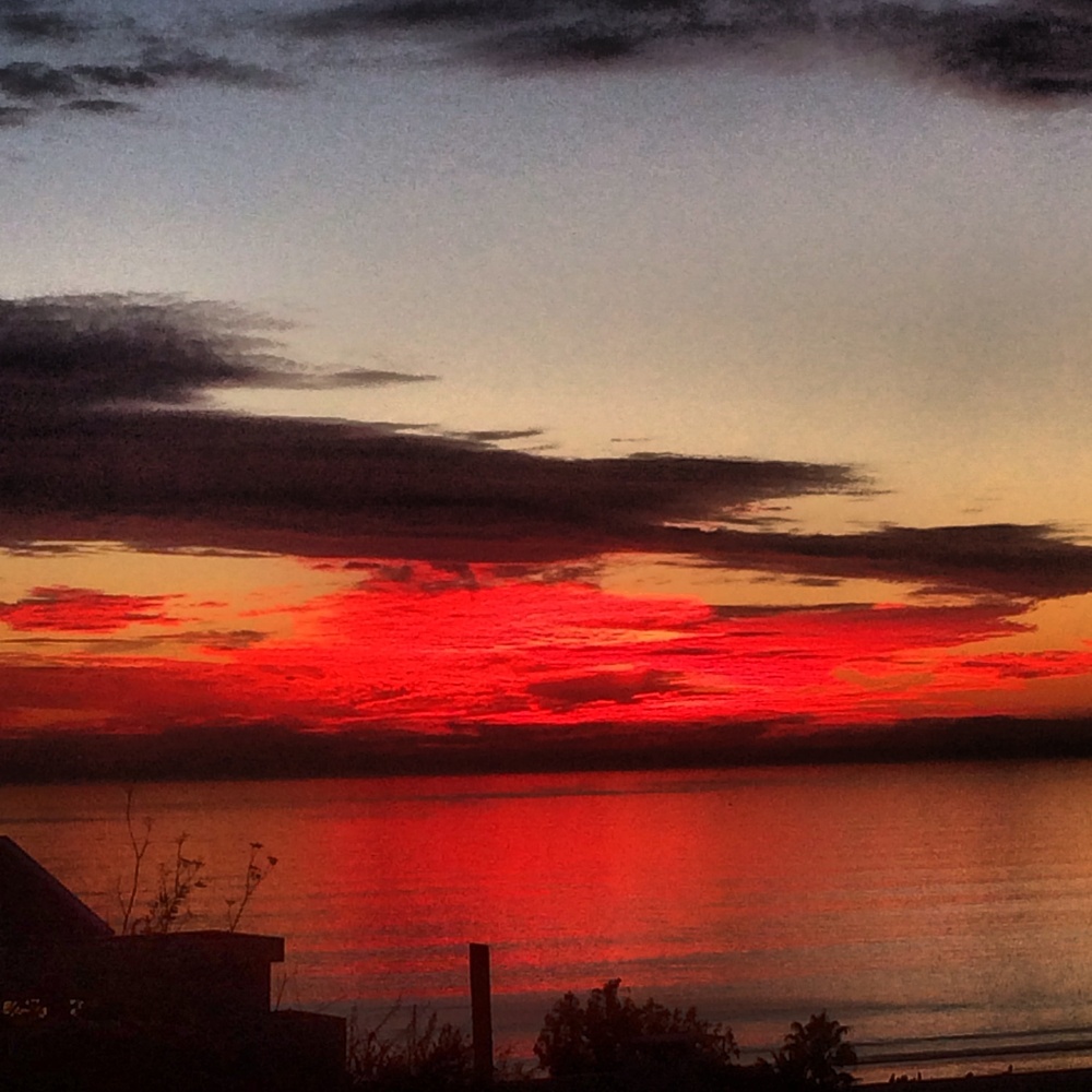 View Untitled 25 by Lila G