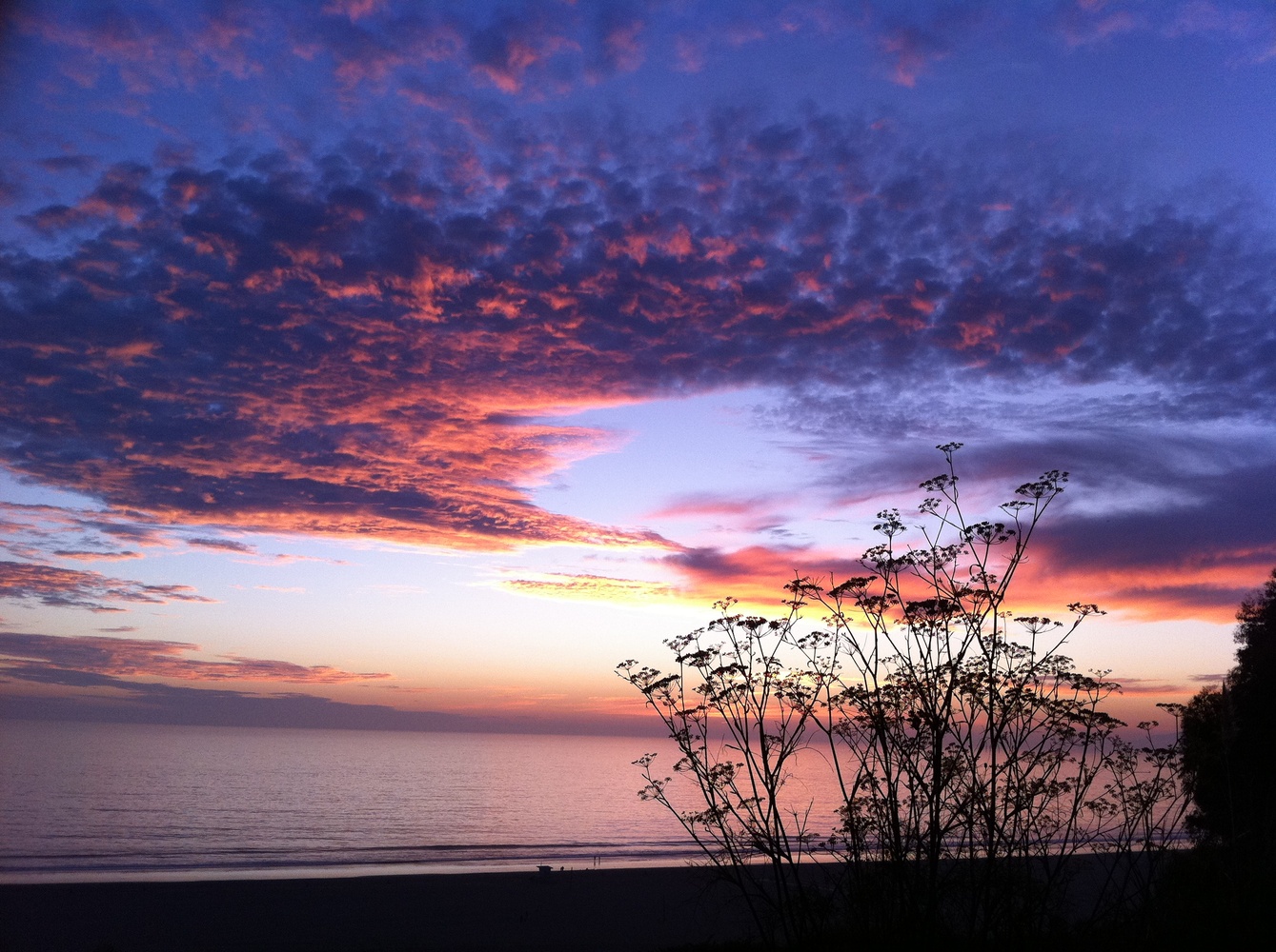 View Untitled 24 by Lila G