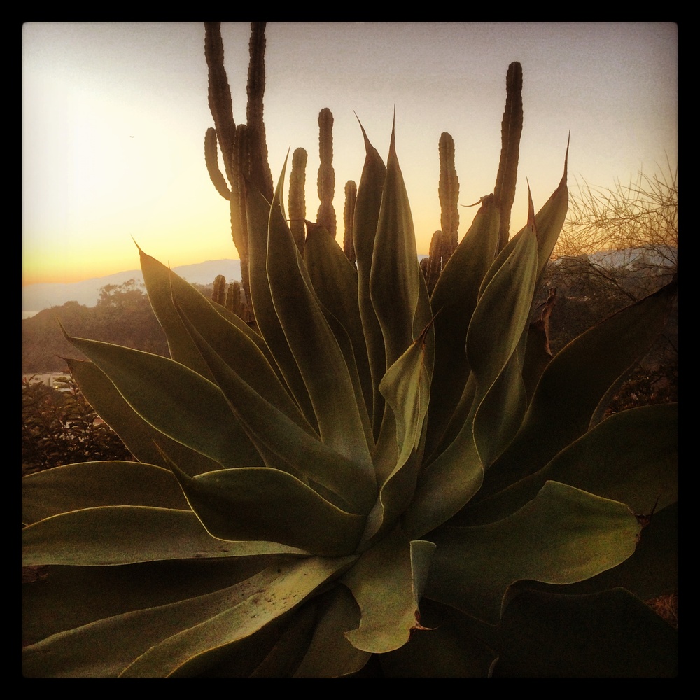 View Untitled 26 by Lila G