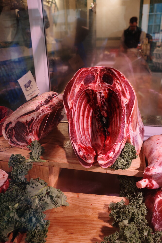 Neon red brain cross-section display with moss accents in museum exhibition