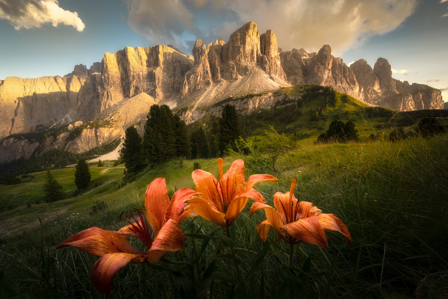 Orange lilies in foreground with dramatic mountain peaks and meadow in background at golden hour