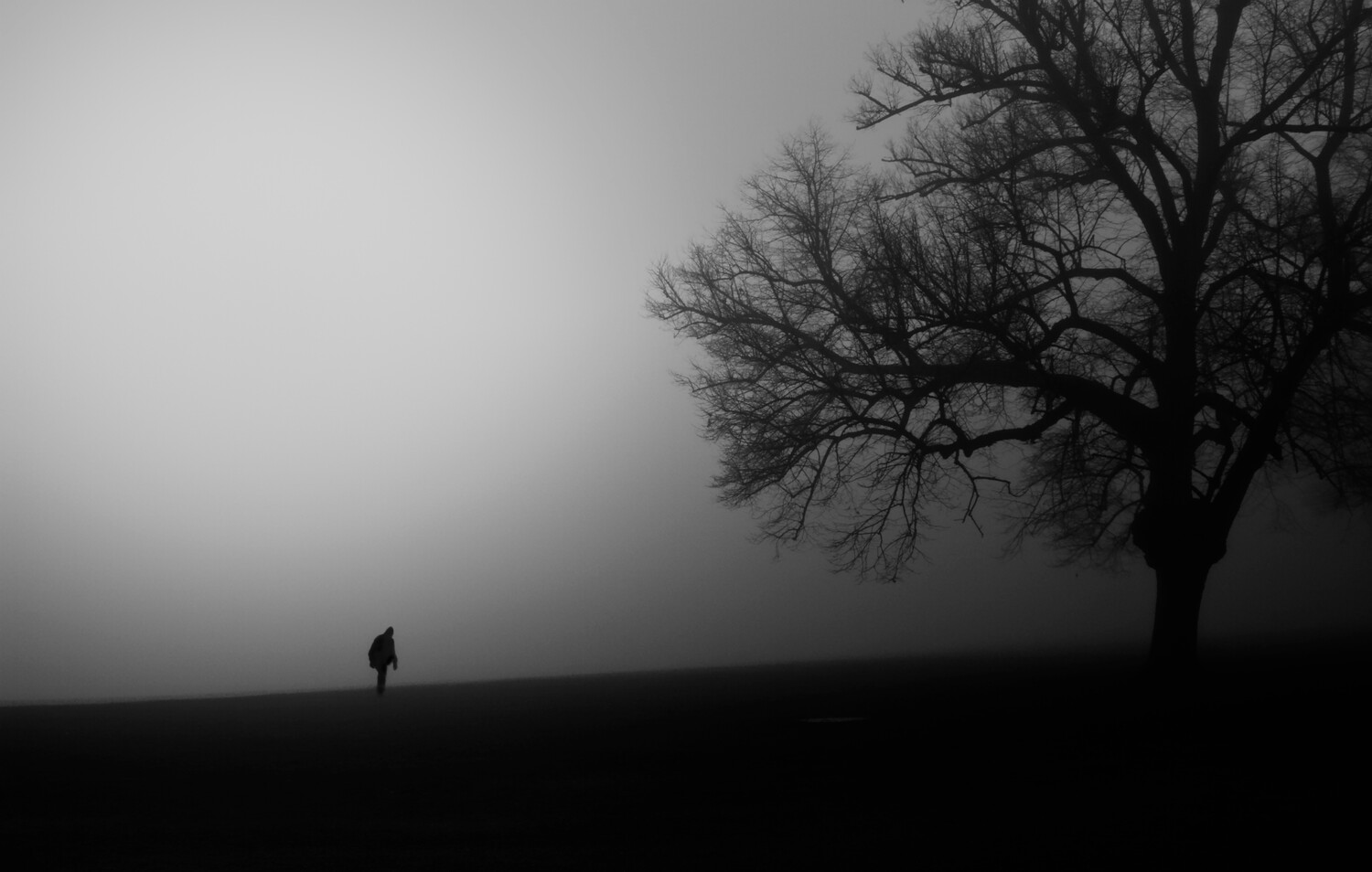 Solitary figure standing in misty field beside gnarled bare tree